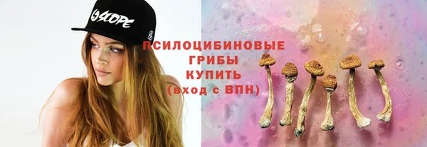 jwh Белокуриха
