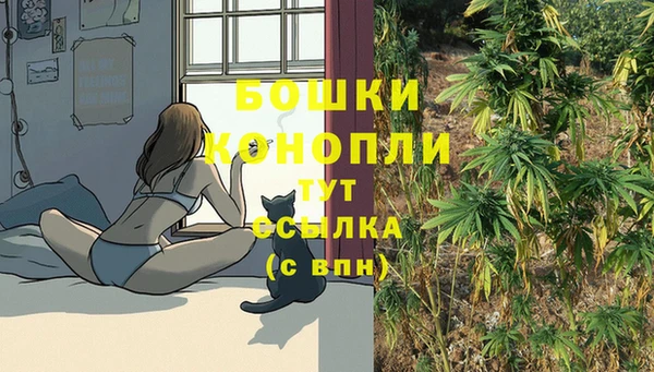 хмурый Богданович