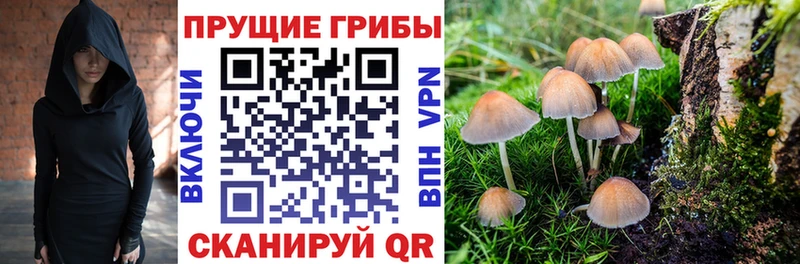 Купить  Бузулук  Псилоцибиновые грибы мухоморы 